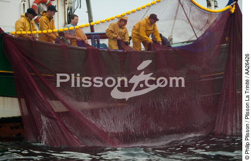 Pêche a la sardine pour la Quiberonaise - © Philip Plisson / Plisson La Trinité / AA26426 - Nos reportages photos - Bateau de pêche
