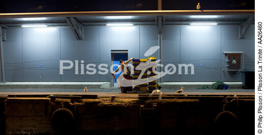 Le port de pêche de Kéroman à Lorient. - © Philip Plisson / Plisson La Trinité / AA26460 - Nos reportages photos - Nuit
