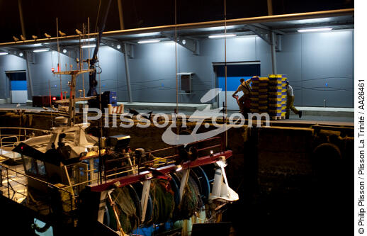 Le port de pêche de Kéroman à Lorient. - © Philip Plisson / Plisson La Trinité / AA26461 - Nos reportages photos - Lorient