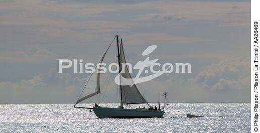 Houat - © Philip Plisson / Plisson La Trinité / AA26469 - Nos reportages photos - Cotre