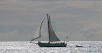 Houat © Philip Plisson / Plisson La Trinité / AA26469 - Nos reportages photos - Yachting