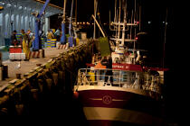 Le port de pêche de Kéroman à Lorient. © Philip Plisson / Plisson La Trinité / AA26481 - Nos reportages photos - Criée
