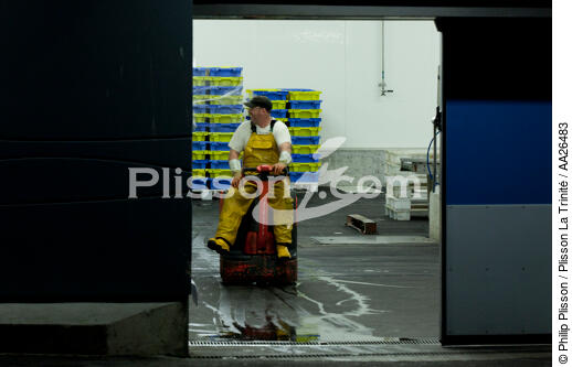 Le port de pêche de Kéroman à Lorient. - © Philip Plisson / Plisson La Trinité / AA26483 - Nos reportages photos - Moment de la journée