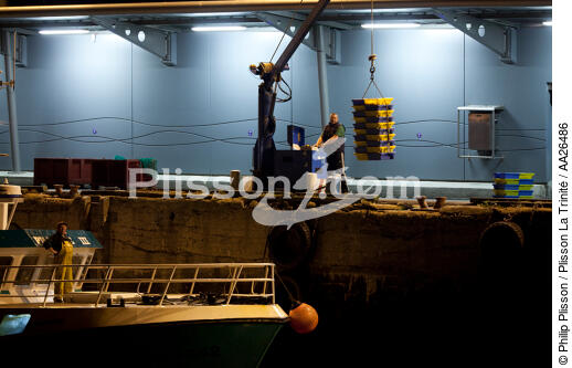 Le port de pêche de Kéroman à Lorient. - © Philip Plisson / Plisson La Trinité / AA26486 - Nos reportages photos - Moment de la journée