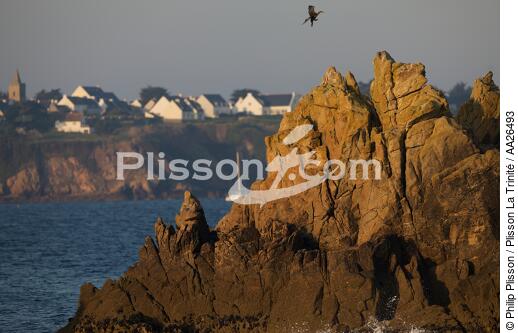 Houat island - © Philip Plisson / Plisson La Trinité / AA26493 - Photo Galleries - Houat