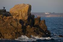 Houat island © Philip Plisson / Pêcheur d’Images / AA26494 - Photo Galleries - Rock