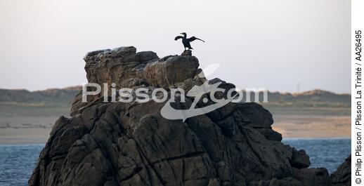 Houat island - © Philip Plisson / Plisson La Trinité / AA26495 - Photo Galleries - Houat