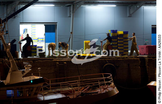 The fishing port of Lorient Kéroman. - © Philip Plisson / Plisson La Trinité / AA26533 - Photo Galleries - Lorient