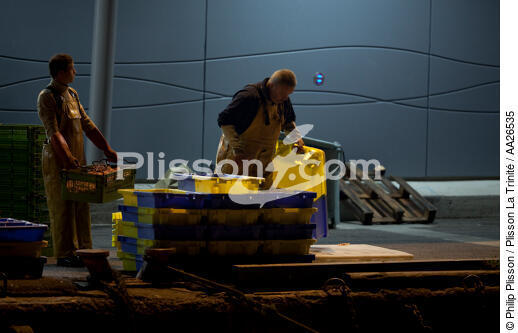 The fishing port of Lorient Kéroman. - © Philip Plisson / Plisson La Trinité / AA26535 - Photo Galleries - Fish dock