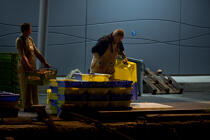 Le port de pêche de Kéroman à Lorient. © Philip Plisson / Plisson La Trinité / AA26535 - Nos reportages photos - Nuit