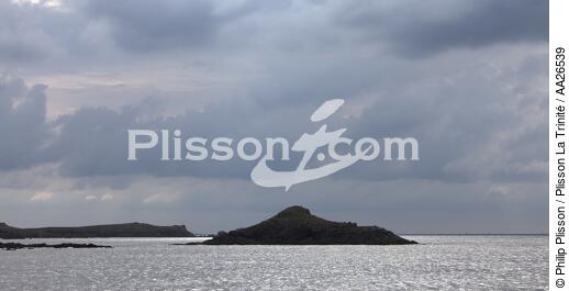 Houat island - © Philip Plisson / Plisson La Trinité / AA26539 - Photo Galleries - Backlit