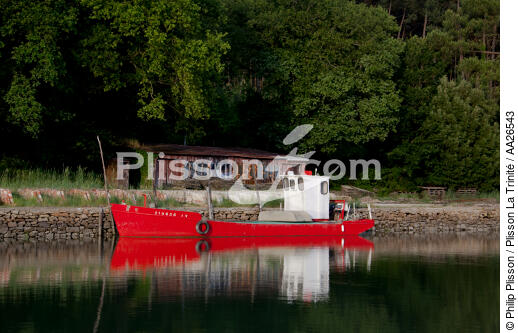 Boat on the river Crac'h - © Philip Plisson / Plisson La Trinité / AA26543 - Photo Galleries - Shellfish farming