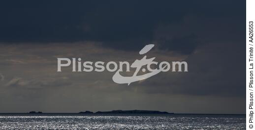 L'île au chevaux - © Philip Plisson / Plisson La Trinité / AA26553 - Photo Galleries - Island [56]