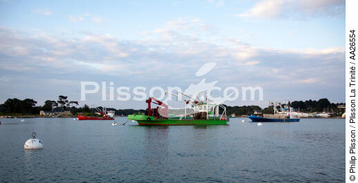 Boat on the river Crac'h - © Philip Plisson / Plisson La Trinité / AA26554 - Photo Galleries - Shellfish farming