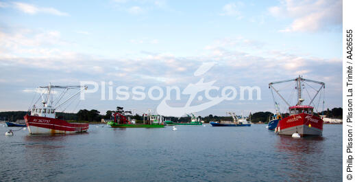 Sur la rivière de Crac'h - © Philip Plisson / Plisson La Trinité / AA26555 - Nos reportages photos - Ponton ostréicole