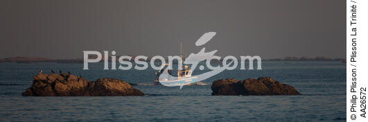 Bateau de pêche devant Quiberon - © Philip Plisson / Plisson La Trinité / AA26572 - Nos reportages photos - Quiberon