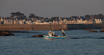 Quiberon © Philip Plisson / Plisson La Trinité / AA26576 - Photo Galleries - Fishing vessel