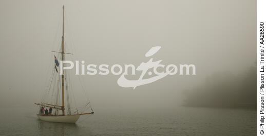 Nan of Fife in the mist. - © Philip Plisson / Plisson La Trinité / AA26590 - Photo Galleries - Sky