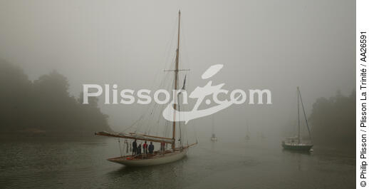 Nan of Fife dans la brume. - © Philip Plisson / Plisson La Trinité / AA26591 - Nos reportages photos - Morbihan