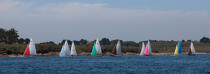 Week of the Gulf. © Philip Plisson / Plisson La Trinité / AA26597 - Photo Galleries - From Quiberon to the Vilaine river