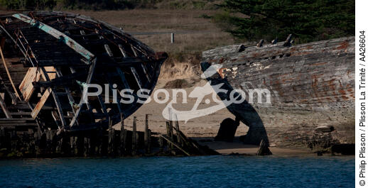 Epaves de thonier à Plouhinec - © Philip Plisson / Plisson La Trinité / AA26604 - Nos reportages photos - Elément d'un bateau