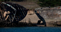 Wrecks of tuna fishing boat in Plouhinec © Philip Plisson / Plisson La Trinité / AA26604 - Photo Galleries - River [56]