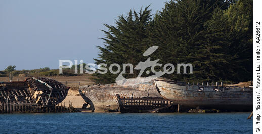 Wrecks of tuna fishing boat in Plouhinec - © Philip Plisson / Plisson La Trinité / AA26612 - Photo Galleries - Elements of boat