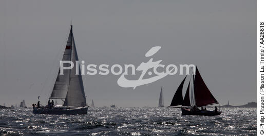 Navigation dans le Golfe du Morbihan - © Philip Plisson / Plisson La Trinité / AA26618 - Nos reportages photos - Contre-jour