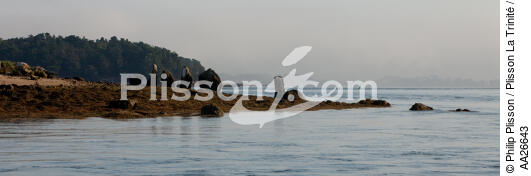 Er-Lannig dans le Golfe du Morbihan - © Philip Plisson / Plisson La Trinité / AA26643 - Nos reportages photos - Monument historique