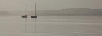 Fog on the Gulf of Morbihan © Philip Plisson / Plisson La Trinité / AA26647 - Photo Galleries - Mooring
