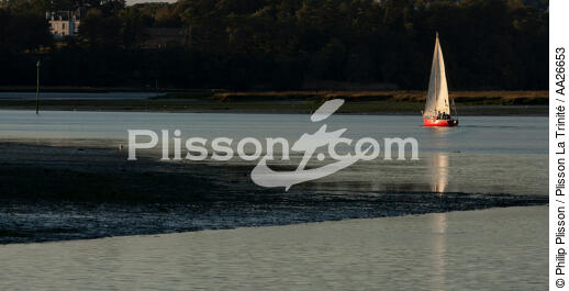 Sur la rivière d'Auray. - © Philip Plisson / Plisson La Trinité / AA26653 - Nos reportages photos - Auray [Rivière d']