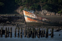 Wreck on the Blavet. © Philip Plisson / Plisson La Trinité / AA26665 - Photo Galleries - River