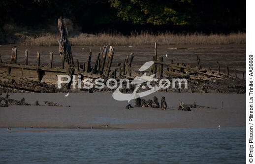 Wreck on the Blavet. - © Philip Plisson / Plisson La Trinité / AA26669 - Photo Galleries - Blavet [The River of]
