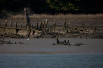 Epave sur le Blavet. © Philip Plisson / Plisson La Trinité / AA26669 - Nos reportages photos - Cimetière marin