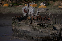 Epave sur le Blavet. © Philip Plisson / Plisson La Trinité / AA26677 - Nos reportages photos - Cimetière marin