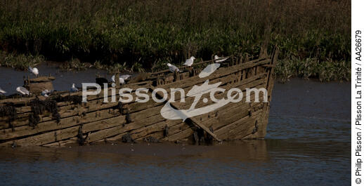 Wreck on the Blavet. - © Philip Plisson / Plisson La Trinité / AA26679 - Photo Galleries - From Bénodet to Etel