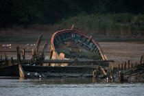 Wreck on the Blavet. © Philip Plisson / Plisson La Trinité / AA26683 - Photo Galleries - River