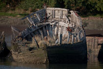 Wreck on the Blavet. © Philip Plisson / Plisson La Trinité / AA26684 - Photo Galleries - River [56]