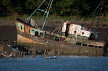 Wreck on the Blavet. © Philip Plisson / Plisson La Trinité / AA26685 - Photo Galleries - River