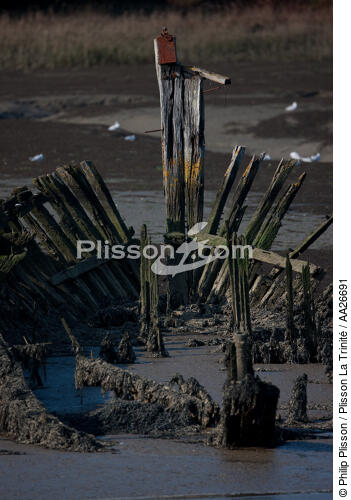 Wreck on the Blavet. - © Philip Plisson / Plisson La Trinité / AA26691 - Photo Galleries - River [56]