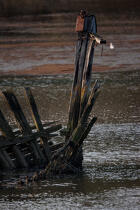 Wreck on the Blavet. © Philip Plisson / Plisson La Trinité / AA26693 - Photo Galleries - Shipwreck