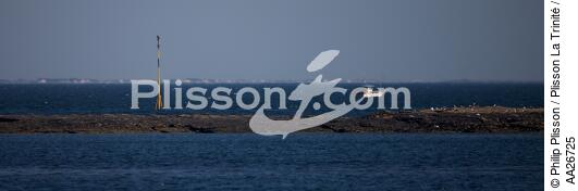 L'île de Groix - © Philip Plisson / Plisson La Trinité / AA26725 - Nos reportages photos - Ile [56]