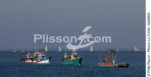 Tréhigier port - © Philip Plisson / Plisson La Trinité / AA26800 - Photo Galleries - Morbihan