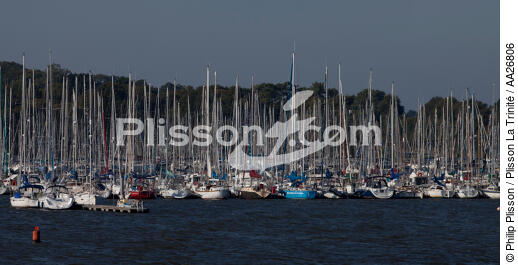 Port d'Arzal - © Philip Plisson / Plisson La Trinité / AA26806 - Nos reportages photos - Morbihan