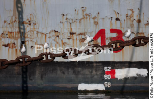 Epave de bateau sur l'Aulne. - © Philip Plisson / Plisson La Trinité / AA26870 - Nos reportages photos - Marine nationale