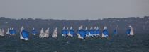 Laser regatta in the bay of Brest © Philip Plisson / Plisson La Trinité / AA26883 - Photo Galleries - Town [29]