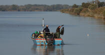 The Loire river © Philip Plisson / Plisson La Trinité / AA26886 - Photo Galleries - Fishing vessel