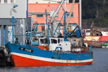 In the port of Douarnenez © Philip Plisson / Plisson La Trinité / AA26888 - Photo Galleries - Fishing vessel