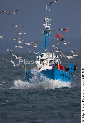 Bateau de pêche devant Douarnenez - © Philip Plisson / Plisson La Trinité / AA26890 - Nos reportages photos - Bateau de pêche
