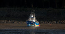 La Loire © Philip Plisson / Plisson La Trinité / AA26903 - Nos reportages photos - Bateau de pêche